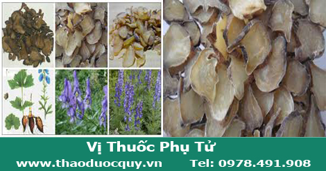 vị thuốc phụ tử